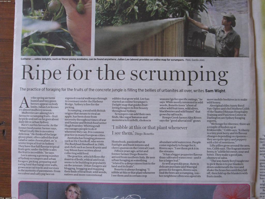 ការបង្កើតអត្ថបទថ្មីសម្រាប់ពិភពDigital